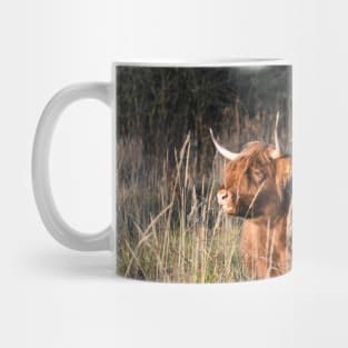 Highland Cattle / Swiss Artwork Photography Mug